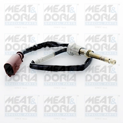 Sensor, exhaust gas temperature